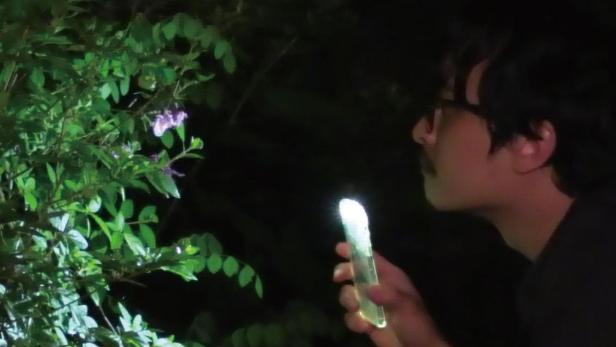 Ein Mann betrachtet im Dunkeln eine Pflanze mit einer leuchtenden Taschenlampe.