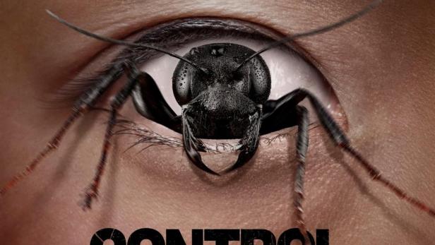 Das Auge einer Person, in dem sich eine große, schwarze Ameise befindet.