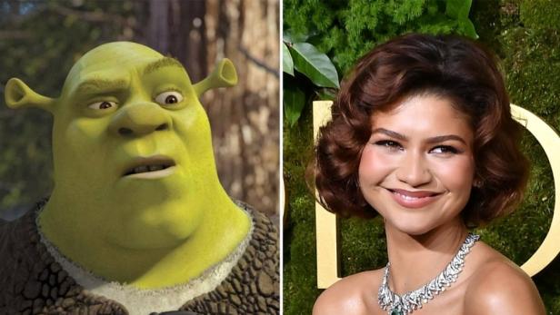 Ein Vergleichsbild von Shrek und Zendaya.