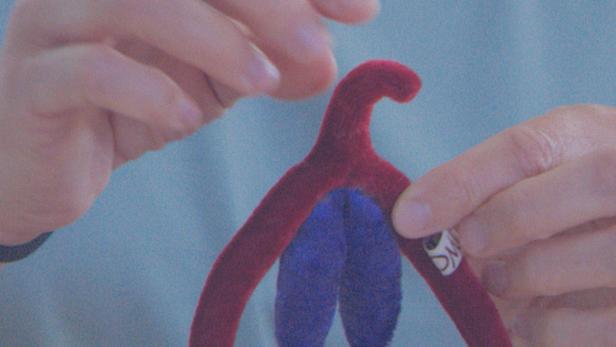 Eine Person hält ein rotes und blaues Stoffmodell einer Klitoris.