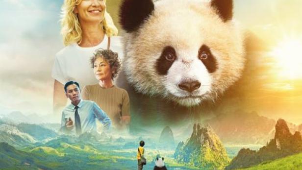 moon-panda-plakat.jpg