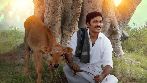 Ein Mann sitzt mit einem Kalb unter einem großen Baum.