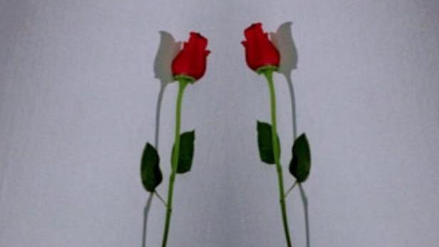 Die Rosenschlacht