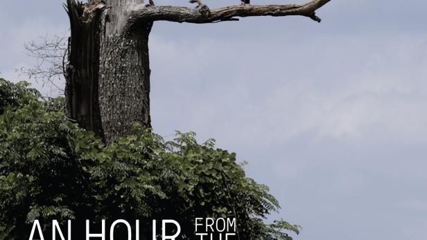 Zwei Geier sitzen auf einem Ast vor dem Hintergrund des Filmplakats „An Hour From The Middle Of Nowhere“.