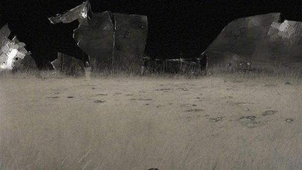 Eine Frau kauert im Gras vor den Trümmern eines Flugzeugs.
