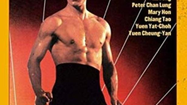 Das Cover von „Die Panthertatze“ mit Bruce Li in Kampfpose.