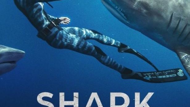 Eine Frau in Tauchausrüstung berührt die Nase eines Hais unter Wasser.