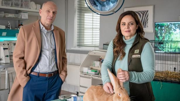 Dr. Mertens untersucht in ihrer Praxis ein Kaninchen, während ein Mann zusieht.