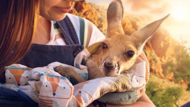 Das Filmplakat zu „Lilly und die Kängurus“ zeigt ein Mädchen mit einem Baby-Känguru im Arm.