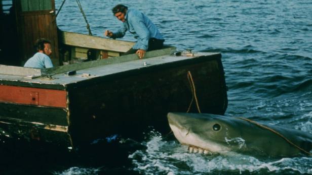 Ein großer weißer Hai taucht neben einem Boot auf, auf dem zwei Männer stehen.