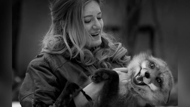 Eine Frau lacht, während sie einen zahmen Fuchs im Arm hält.