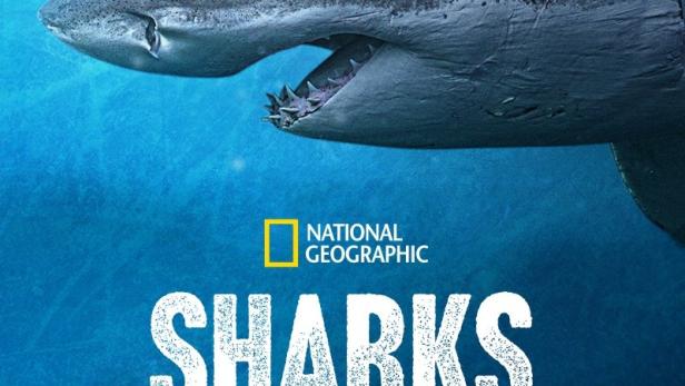 Das Poster für „Sharks of the North“ von National Geographic zeigt einen Hai unter Wasser.
