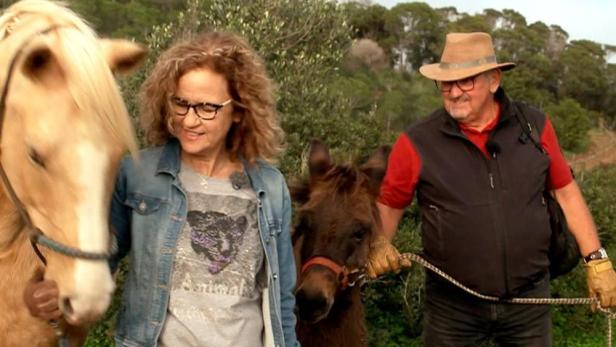 Eine Frau und ein Mann stehen mit einem blonden Pferd und einem braunen Pony auf einer Weide.