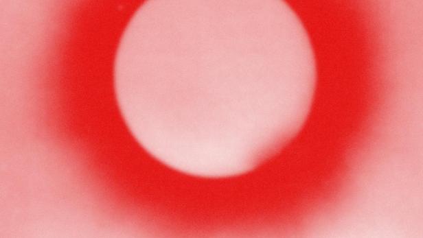 Das Filmplakat für „Don't Let The Sun“ von Jacqueline Zünd, gezeigt beim Locarno Film Festival.