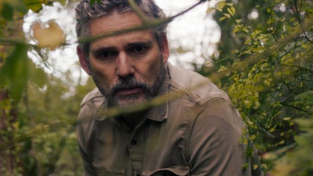 untamed-1.jpg