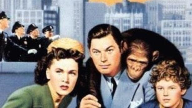 Das Filmplakat für „Tarzans Abenteuer in New York“ mit Johnny Weissmüller und Maureen O'Sullivan.