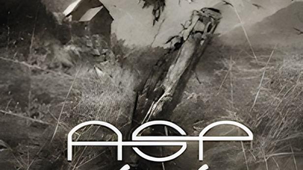 Ein Cover für „Zaubererbruder - Der Krabat-Liederzyklus“ von ASP mit einem Raben im Flug.