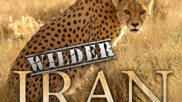 Ein Gepard steht im hohen Gras; im Vordergrund steht der Schriftzug „Wilder Iran“.