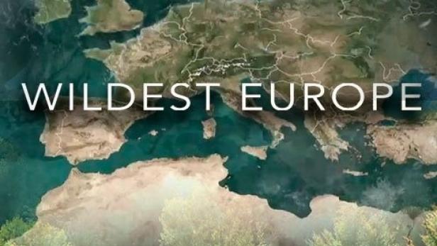 Das Titelbild von „Wildest Europe“ zeigt einen Adler vor einer Europakarte und einem Wald.