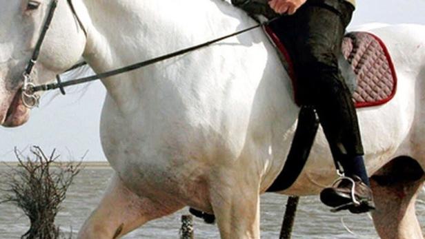 Ein Mann reitet auf einem weißen Pferd durch das flache Wasser.