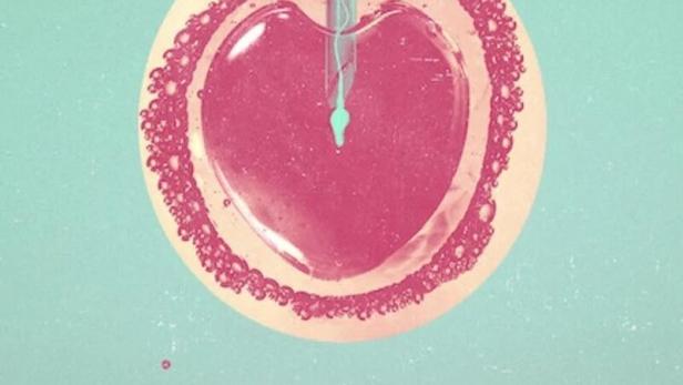 Das Poster für die Netflix-Serie „Befruchtet“ zeigt eine Eizelle, die befruchtet wird.