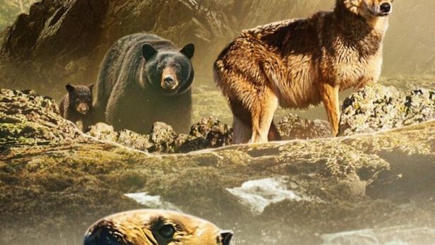 Ein Otter schwimmt im Wasser, während Bären, Wölfe und Adler an Land zu sehen sind.
