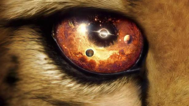 Das Auge eines Tieres spiegelt den Weltraum wider, Titelbild für die Netflix-Dokumentarserie „Our Universe“.