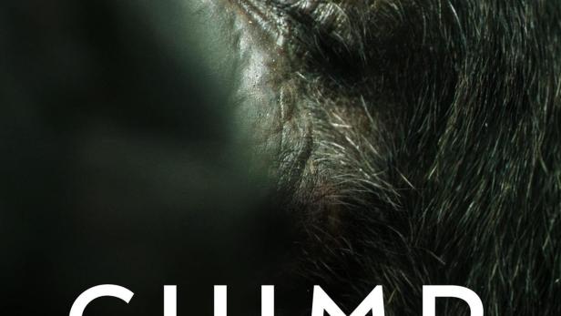 Nahaufnahme des Gesichts eines Schimpansen mit dem Titel „Chimp Empire“.