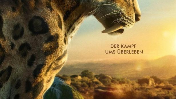 Das Poster zur Dokumentarserie „Leben auf unserem Planeten“ zeigt eine Säbelzahnkatze.