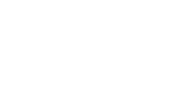 Das Logo der Dokumentation „Dynasty: Die Insidergeschichte der New England Patriots“.