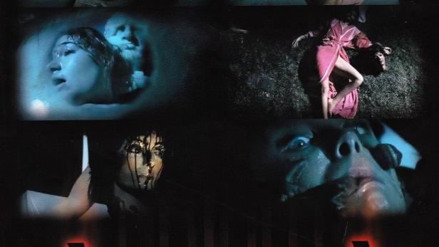 Das Cover des Horrorfilms „Aenigma“ von Lucio Fulci zeigt verschiedene verstörende Szenen.