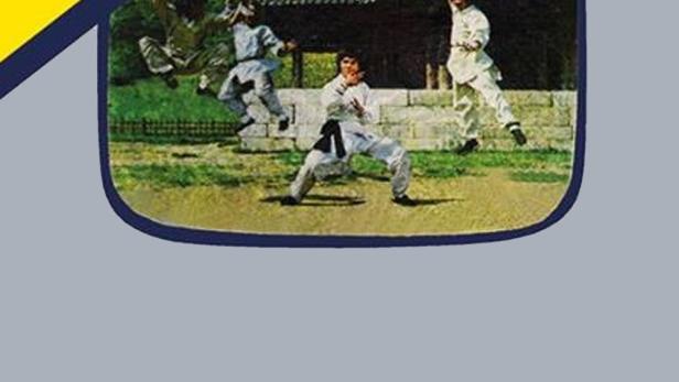 Das Cover des Films „Die Zwillingsbrüder von Bruce Lee“ mit Liu Chung-Liang und Wang Tao.