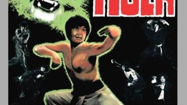 Das DVD-Cover des Films „Duell der 7 Tiger“ zeigt einen Mann in Kampfpose.