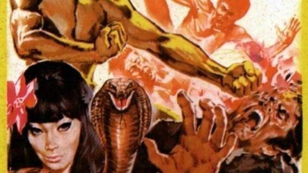 Das Cover des Films „Seine tödliche Rache“ mit Bruce Lee im Kampf.