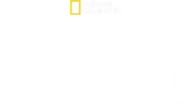 Das National Geographic Logo und der Titel „Die geheimnisvolle Welt der Wale“.