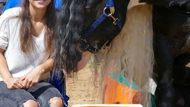 Anna posiert mit einem schwarz-weißen Tinkerpferd für die Sendung „Anna und die Haustiere“.