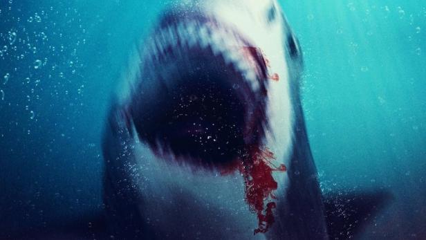 Ein Bullenhai greift im Filmplakat für „Bull Shark 2“ einen Surfer an.