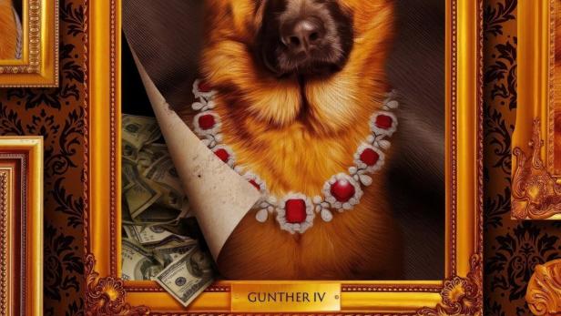 Ein Porträt von Günther IV., einem Deutschen Schäferhund mit einer Halskette, hinter der sich Geldscheine verbergen.