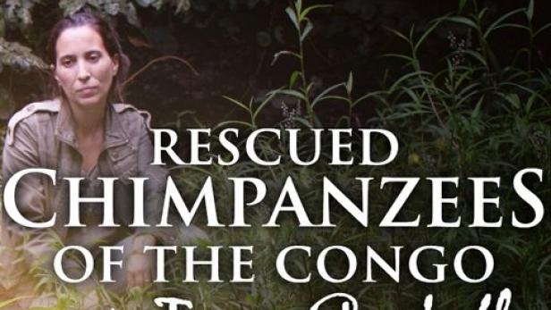 Das Filmplakat für „Rescued Chimpanzees of the Congo with Jane Goodall“ zeigt Schimpansen und Jane Goodall.