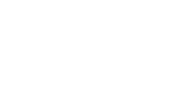 Das Bild ist komplett weiß.