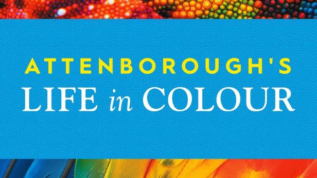 Das Cover von „Attenborough's Life in Colour“ zeigt Chamäleonhaut und Vogelfedern.