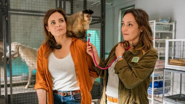 Tierärztin Mertens untersucht einen Affen mit einem Stethoskop, während ein Miniaturpferd im Hintergrund steht.