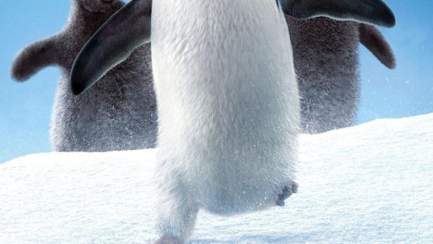 Ein erwachsener Pinguin und zwei Küken auf einer schneebedeckten Fläche.