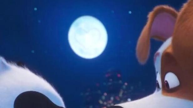 Ein Waschbär und ein Hund vor dem Nachthimmel und dem Titel „Minions & mehr2“.