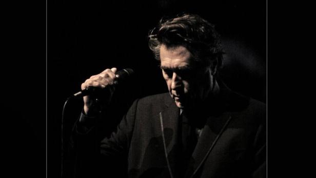 Bryan Ferry singt während eines Konzerts in Lyon.