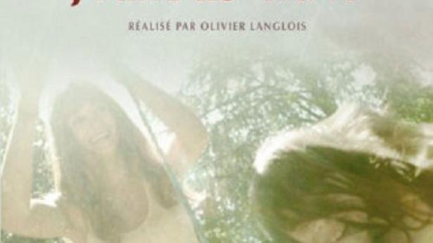 Das Buch „Toi que j'aimais tant“ von Mary Higgins Clark.