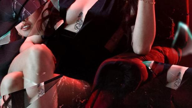 Eine Frau sitzt in einem Sessel, im Vordergrund der Titel „Eine tabulose Affäre“.