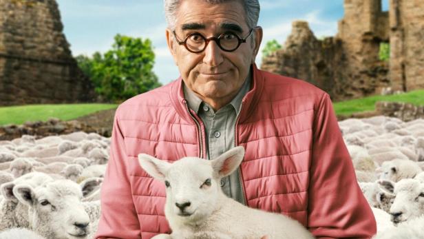 Eugene Levy hält ein Lamm in seinen Armen, umgeben von einer Schafherde.