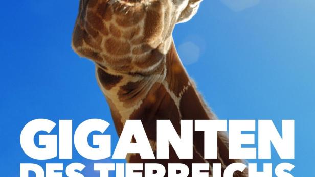 Eine Giraffe vor blauem Himmel, im Vordergrund der Titel „Giganten des Tierreichs“.