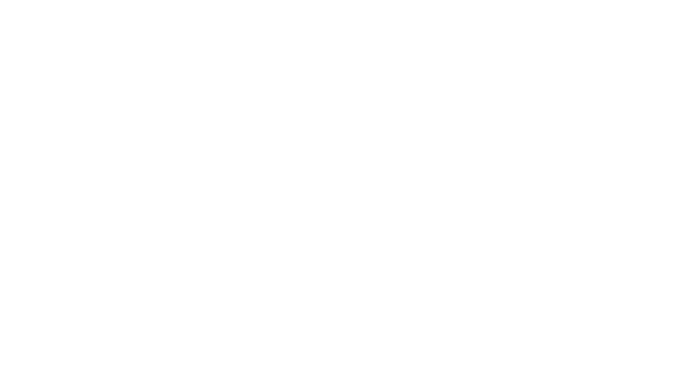 Ein Fahndungsplakat mit dem Namen Carlos Ghosn.